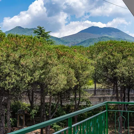 Vesuviusview 에르콜라노